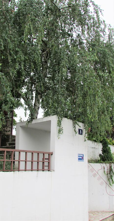 Apartment B&S Beograd Eksteriør billede